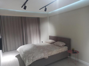 Vorniceni Apartment